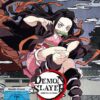 Demon Slayer - Staffel 1 - Vol.2  [2 DVDs]