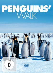 Penguins  Walk