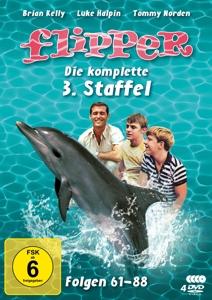 Flipper - Die komplette 3. Staffel  [4 DVDs] (Fernsehjuwelen)
