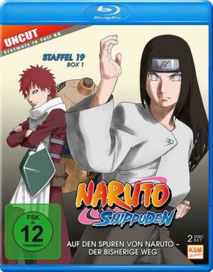 Naruto Shippuden - Box 19.1