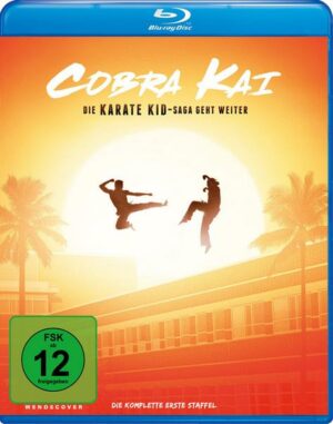 Cobra Kai -  Staffel 1  [2 BRs]