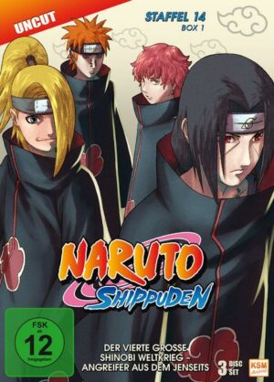 Naruto Shippuden - Box 14.1