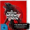 An American Werewolf in London - 2-Blu-ray-Disc-Edition (Woolston Artwork)  [2 BRs]