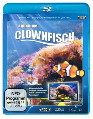 Clownfisch-Aquarium