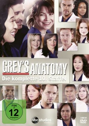 Grey's Anatomy - Die komplette zehnte Staffel  [6 DVDs]