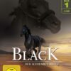 Black - Der schwarze Blitz - Box 1  [4 DVDs]