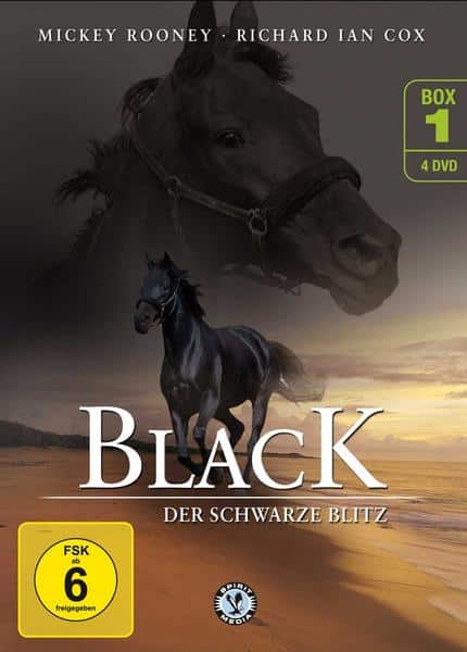 Black - Der schwarze Blitz - Box 1  [4 DVDs]