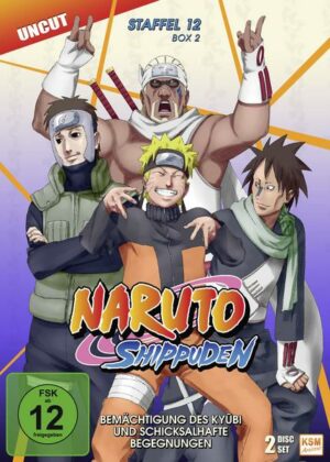 Naruto Shippuden - Box 12.2