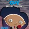 Family Guy - Season 14  [3 DVDs]