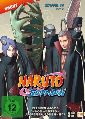 Naruto Shippuden - Box 14.2