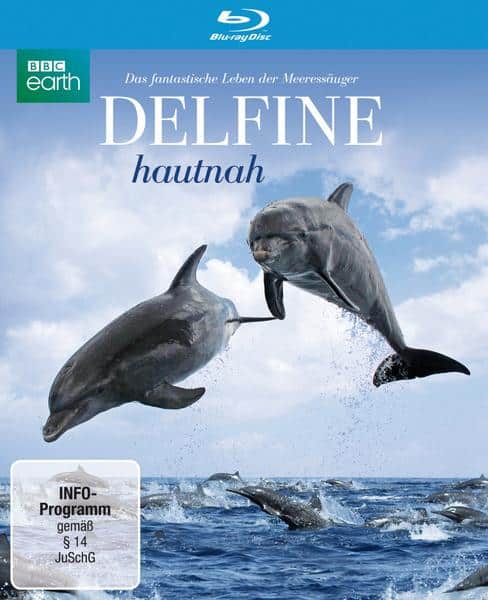 Delfine hautnah