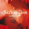 Crazy in Love - Lust auf Liebe