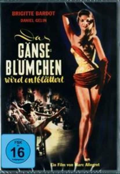 Das Gänseblümchen wird entblättert