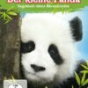 Der kleine Panda - Tagebuch eines Bärenkindes