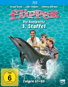 Flipper - Die komplette 3. Staffel  [3 BRs] (Fernsehjuwelen)