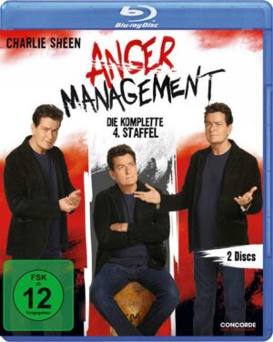 Anger Management - Staffel 4  [2 BRs]