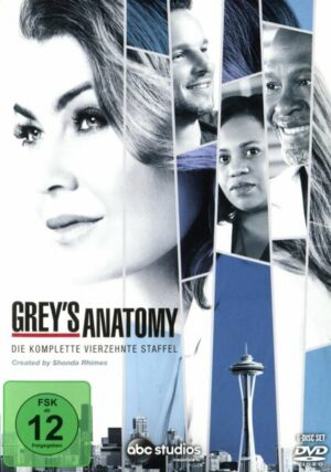 Grey's Anatomy - Staffel 14 [6 DVDs]