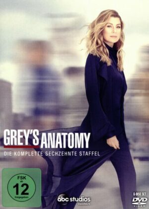 Grey's Anatomy - Staffel 16  [6 DVDs]