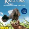 Hidden Kingdoms - Im Königreich der kleinen Tiere