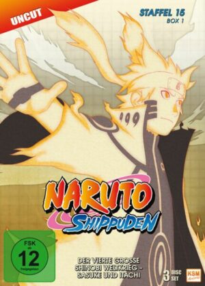 Naruto Shippuden - Box 15.1