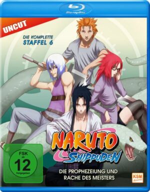 Naruto Shippuden - Box 6