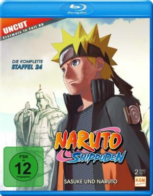 Naruto Shippuden - Staffel 24: Sasuke und Naruto (Folgen 690-699) [2 BRs]
