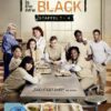 Orange is the New Black - Staffel 1-4  [20 DVDs]