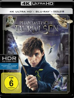 Phantastische Tierwesen und wo sie zu finden sind (4K Ultra HD) (+ Blu-ray)