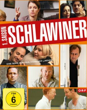 Schlawiner - Saison 1  [3 DVDs]