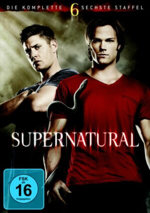Supernatural - Staffel 6  [6 DVDs]