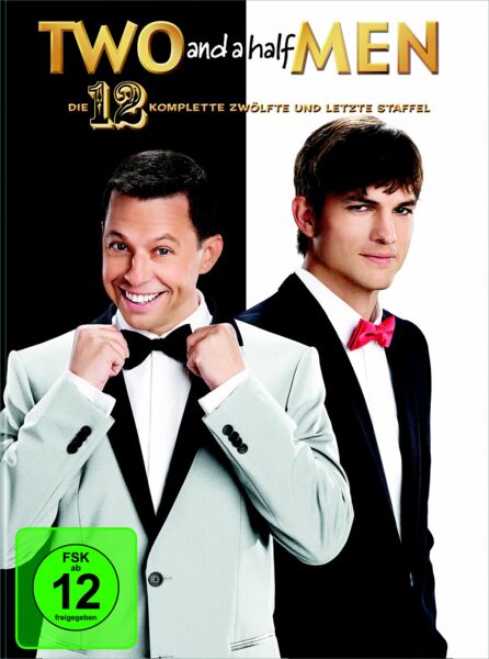 Two and a Half Men - Staffel 12  [2 DVDs]