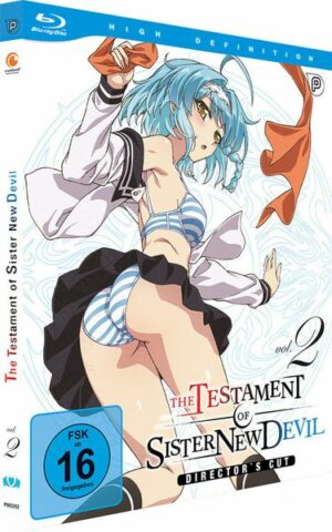 Testament of Sister New Devil Vol. 2