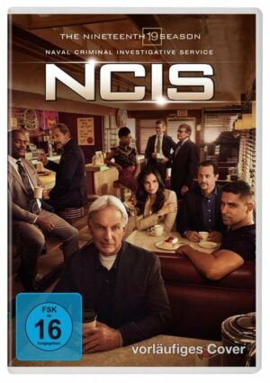 Navy CIS - Season 19  [5 DVDs]