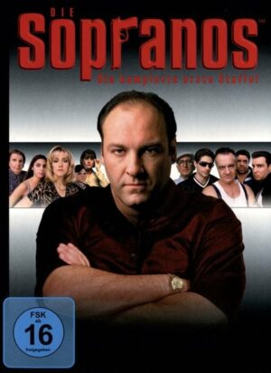 Die Sopranos - Staffel 1  [4 DVDs]