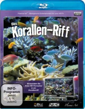 Korallen-Riff